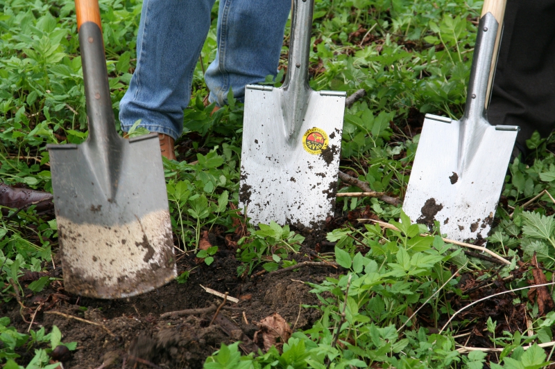 pepiniere-SPERACEDES-min_work-lawn-flower-tool-green-backyard-1103633-pxhere.com